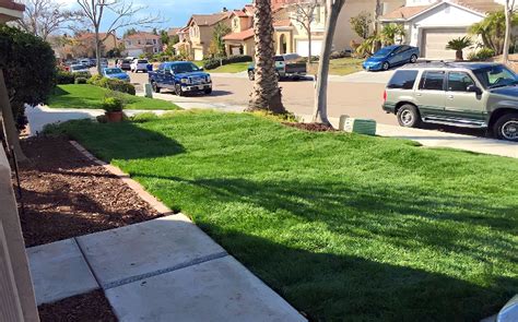 lawn care chula vista ca|Chula Vista Lawn Care 